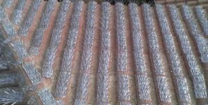 شركة مكافحة حمام بجدة